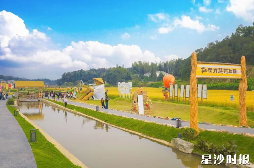 “我在开慧有丘田”项目拉动全域农文旅综合消费超8000万元。 “我在开慧有丘田”项目拉动全域农文旅综合消费超8000万元。